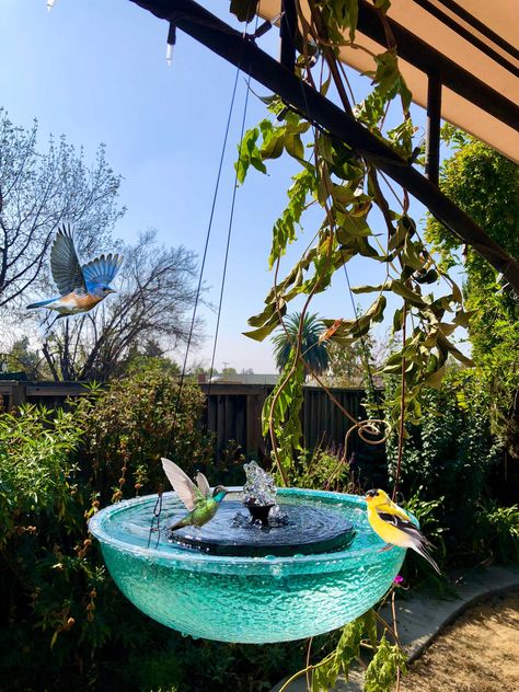 Hanging Solar Lighted Water Fountain, Completely Solar Powered, Bird Lovers Love the relaxtion qualities and bird action. Bubbling Fountain, Bird Watcher Gifts, Solar Water Fountain, Outdoor Fountains, Solar Fountain, Bird Watchers, Big Bear Lake, Solar Water, Fountains Outdoor