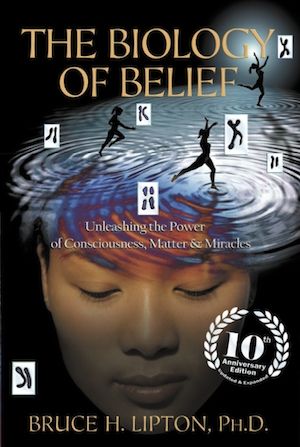 The Biology of Belief celebrates it's 10th year anniversary. Order your new copy today. Biology Of Belief, Bruce Lipton, Research Scientist, Cell Biology, Conscious Parenting, Scientific Discovery, Quantum Physics, School Of Medicine, 10th Anniversary