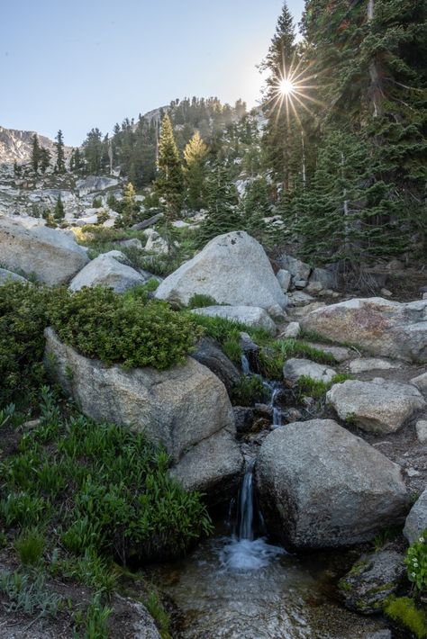 Sequoia National Park – National Park Field Guide Sequoia National Park California, Giant Sequoia Trees, Sequoia Tree, Glacier Bay National Park, Carlsbad Caverns, Nevada Mountains, National Park California, Sierra Nevada Mountains, Sequoia National Park