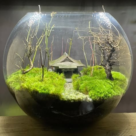 Diroma Ideas, Art Anime Tattoo, Nails Animation, Glass Jar Diy, Anime Tattoo Designs, Closed Terrarium Plants, Fairy Terrarium, Plant Pot Indoor, Plant In Glass