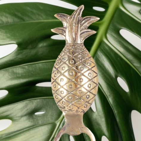 Palms, coconuts and of course PINEAPPLES. 🍍 Essential elements for a vacay vibe. This is our brass pineapple bottle opener. You can get yours today at the market besides Harrigan's Irish Pub at Jacobs Well till 12pm. Opening bottles never looked so classy. Also if you are looking for gifts or #guestfavours for your wedding, this makes a great gift your family and friends will love and use! Email us asap so we can secure your order before the big day! https://www.bahamamama.com.au/kitchenware... Jacobs Well, Brass Pineapple, Bahama Mama, Irish Pub, Bottle Opener, Big Day, Pineapple, This Is Us, Coconut