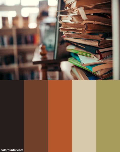 Old Books In The Library. Color Scheme from colorhunter.com Old Book Color Palette, Library Colour Palette, Old Color Palette, Book Colour Palette, Library Color Palette, Book Color Palette, Study Spaces, Old Bookcase, Gallery Cafe