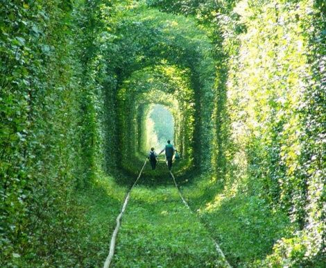 If only this "magical tree tunnel" was a little closer to Houston. Like NOT in Ukraine. Tunnel Of Love Ukraine, Train Tunnel, Tree Tunnel, Tunnel Of Love, Magical Tree, Eco Architecture, Breathtaking Places, Romantic Places, Train Tracks