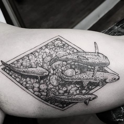 Trout Tattoo, rainbow trout tattoo, brook trout tattoo, tribal trout tattoo, trout tattoo ideas, traditional trout tattoo, simple trout tattoo, trout tattoo with mountains, small trout tattoo, trout tattoo black and white, minimalist trout tattoo, american traditional trout tattoo, brown trout tattoo, trout tattoo black, mike trout tattoo, speckled trout tattoo, simple small trout tattoo, neo traditional trout tattoo, brown trout tattoo designs, traditional rainbow trout tattoo,lake trout tattoo Small Trout Tattoo, Trout Tattoos For Men, Brown Trout Tattoo, Traditional Trout Tattoo, Brook Trout Tattoo, Tattoo With Mountains, Rainbow Trout Tattoo, Tattoo Ideas Traditional, Trout Tattoo