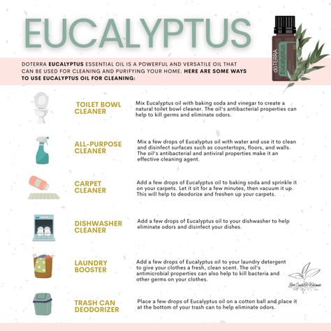 doTERRA Eucalyptus 🌿 essential oil is a powerful and versatile oil that can be used for cleaning and purifying your home. Spas often diffuse Eucalyptus for its calming and refreshing scent, which I love to have on deck when I clean too! Here are some ways to use Eucalyptus oil for cleaning: 1. All-Purpose Cleaner: Mix a few drops of Eucalyptus oil with water and use it to clean and disinfect surfaces such as countertops, floors, and walls. The oil's antibacterial and antiviral properties make Doterra Eucalyptus, Home Spas, Essential Oils 101, Green Recipes, All Purpose Cleaner, Toilet Bowl Cleaner, Deodorizing, Healing Hands, Doterra Oils