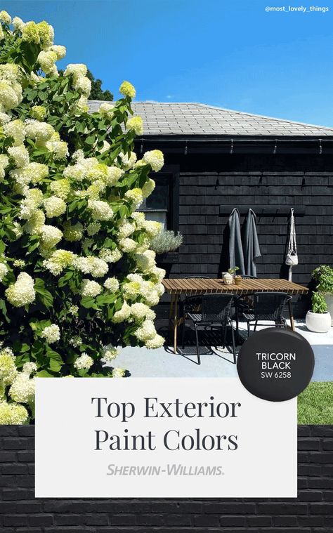 It's easy to see why Tricorn Black SW 6258 is one of the most popular Sherwin-Williams paint colors for exteriors. Perfect for homes, garages, pergolas, and more, this deep black is guaranteed to make a statement. Want to see it for yourself? Tap this pin to order a free color chip and have it shipped to your door. #sherwinwilliams #SWColoroftheYear #exteriorpaint #housepaint #colorinspiration #paint #painting #curbappeal Popular Exterior Paint Colors, Home Exterior Paint, Exterior Updates, Sherman Williams, Tricorn Black, Craftsman Home Interiors, Best Exterior Paint, White Exterior Houses, Black Houses