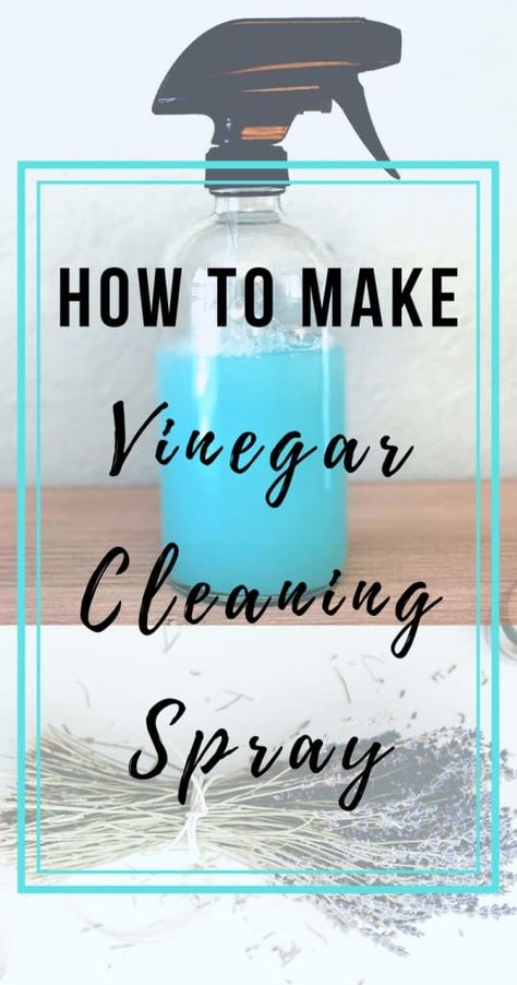 DIY Cleaning Spray - SAVE $$ and Stop Buying Cleaners Now! Cleaning With Vinegar, Vinegar Cleaning Spray, Diy Vinegar, Diy Cleaning Spray, Dawn Soap, Airbnb Hosting, Homemade Toilet Cleaner, Lavender Eucalyptus, Cleaning Painted Walls