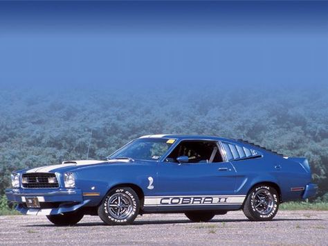 Idk Cars, 1976 Ford Mustang, Mustang Shelby Cobra, Classical Cars, Blue Mustang, Cars Mustang, Ford Mustang Shelby Cobra, Old American Cars, 1970s Decor