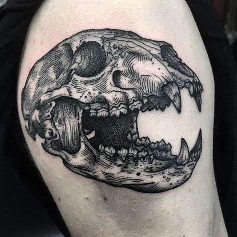 Bear skull done today @sacredartmcr thanks for coming at such late notice henbotattoo@gmail.com #blackworkerssubmission #blackwork… Black Bear Tattoo, Bear Claw Tattoo, Etching Tattoo, Bear Tattoo Designs, Bear Skull, Tattoo Wolf, Wolf Skull, Skeleton Tattoos, Bear Tattoo