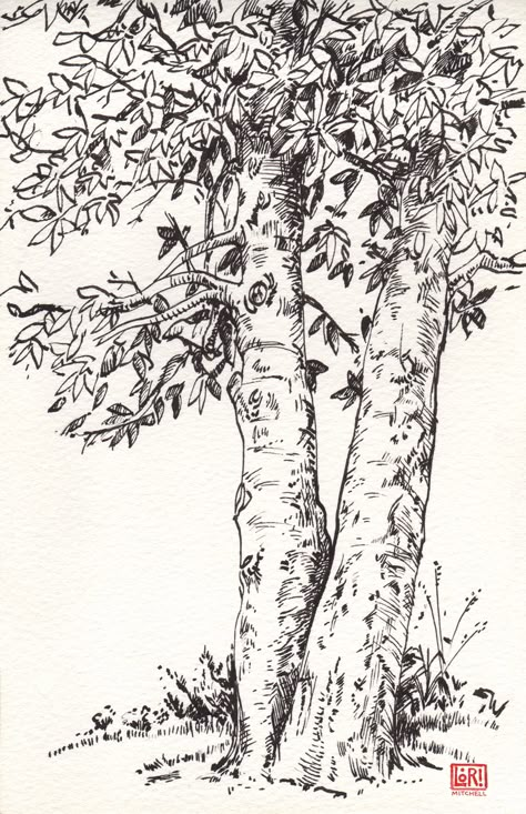 Drawing Trees, Tree Drawings, How To Draw Realistic, Draw Realistic, Nature Sketch, Tree Sketches, Tree Drawings Pencil, Landscape Sketch, Pen Drawings