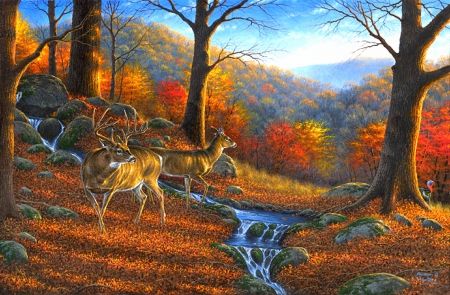 ★Hunter Ridge★ - by Abraham Hunter. Forest Animals Illustration, Thomas Kinkade Art, Wildlife Wallpaper, Deer Artwork, Deer Art, Wildlife Paintings, Art Contest, Grand Art, Country Art