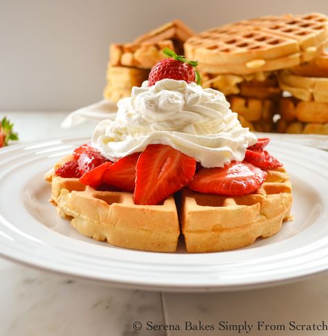 Waffles With Strawberries, Strawberries And Whipped Cream, Southern Breakfast, Strawberry Waffles, Waffle Bar, Whip Cream, Belgian Waffles, Waffle Recipes, Pancakes And Waffles