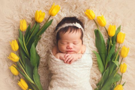 Monthly Baby Pictures, Monthly Baby Photos, Newborn Family Photos, Baby Pictures Newborn, Newborn Photography Poses, Monthly Baby, Newborn Baby Photoshoot, Newborn Hospital