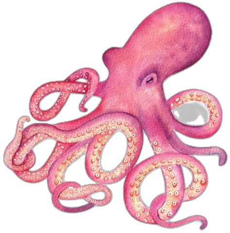 Cool Octopus, Watercolor Octopus, Octopus Drawing, Pink Octopus, Beautiful Dawn, Mosaic Art Diy, Pink Things, Purple Watercolor, Hand Drawn Illustration