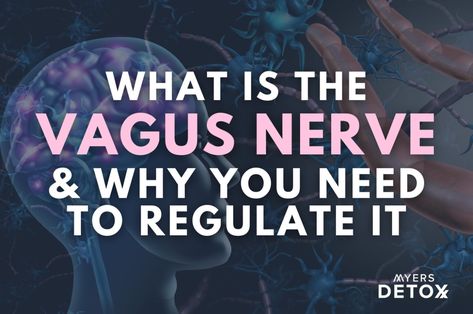 6 Ways to Reset Your Vagus Nerve for Detox - Myersdetox.com Vagas Nerve, Vegas Nerve, Vagal Nerve, Vagal Tone, Vagus Nerve Stimulator, Nervus Vagus, Polyvagal Theory, Lung Detox, The Vagus Nerve