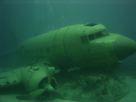 The Bermuda Triangle Case - The ''Star Tiger'' Mary Celeste, Abandoned Ships, Bermuda Triangle, Dark Pictures, Abandoned Cars, White Horses, Shipwreck, In The Ocean, Underwater World