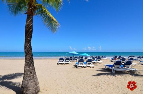 Beaches In Puerto Rico, Isla Verde Puerto Rico, Beaches Puerto Rico, Carolina Puerto Rico, Beach In Puerto Rico, Beach Puerto Rico, Isla Verde Beach Puerto Rico, San Juan Hotels, Puerto Rico Beaches