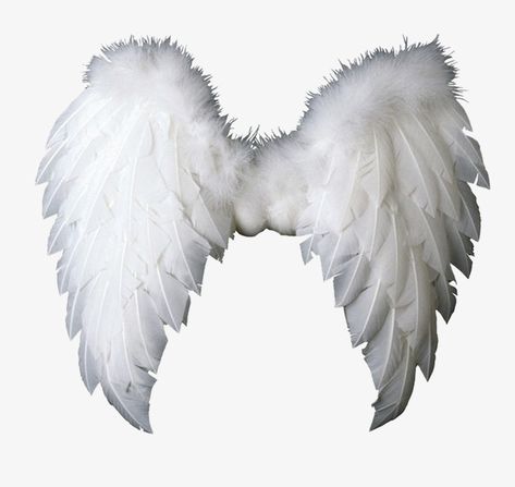 Wing Clipart, Angel Wings Clip Art, Angel Wings Png, Baby Angel Wings, Angel Wings Drawing, Angel Clipart, Tumblr Png, Angel Vector, Wings Png