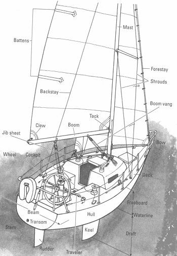 Parts of a sailboat Sailboat Diagram, Sail Life, Side Deck, Boat Painting, Sailing Boat, On A Boat, Power Boats, Beautiful Ocean, Speed Boats