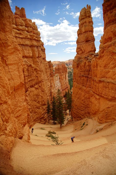 Download this photo by Sebastian Bartelheimer on Unsplash Utah Road Trip, Utah Travel, Amazing Nature Photography, Bryce Canyon National Park, Surfing Photography, National Parks Usa, Road Trip Planning, Bryce Canyon, Outdoor Inspirations