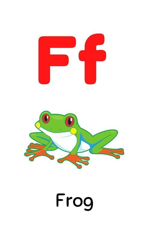 F For Frog, Alphabet Word Wall Cards, English Alphabets With Pictures, Abc Flashcards Printable, Preschool Alphabet Printables, Kids Learning Alphabet, Alphabet Flash Cards Printable, Letter Flashcards, Alphabet Words