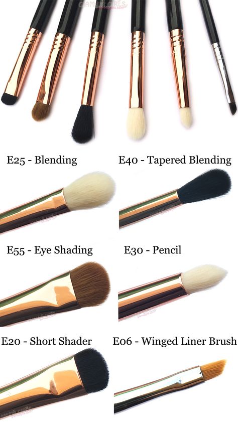 Six best eyes makeup brushes from Sigma Beauty. Eye Makeup Brushes Guide, Best Eye Makeup Brushes, Types Of Makeup Brushes, Best Eyes, Makeup Brushes Guide, Silicone Makeup, Best Makeup Brushes, Makeup Brush Storage, Types Of Makeup