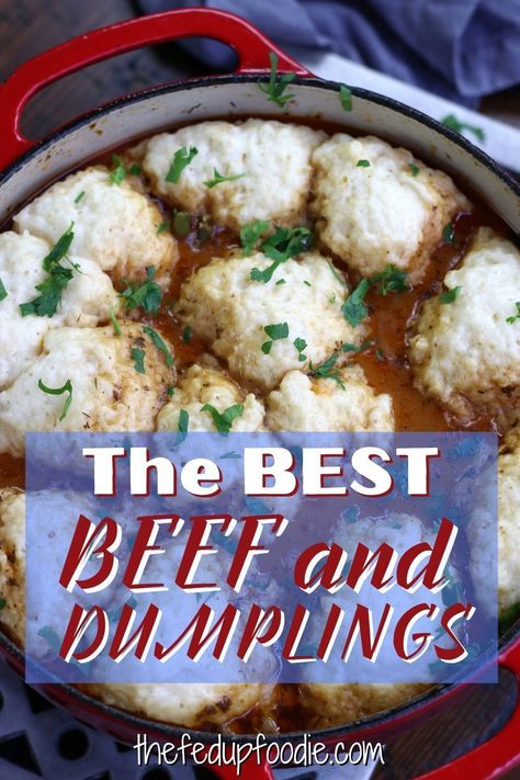 Beef And Dumpling Stew, Ground Beef And Dumplings, Beef Dumpling Soup Recipe, Beef Dumplings Recipe Homemade, Beef And Dumplings Recipe, Ground Beef Dumplings, Steak And Dumplings, Southern Dumplings Recipe, Stew Dumplings Recipe