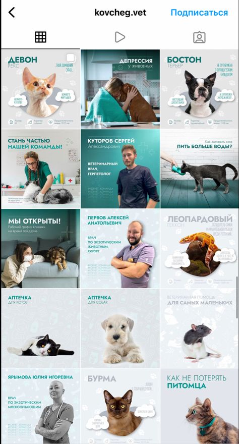 Vet Instagram Feed, Ideas De Feed, Pet Advertising, Graphic Design Inspiration Poster, Pet Branding, Edm Design, Dog Grooming Salons, Disney Frozen Elsa Art, Poster Design Layout