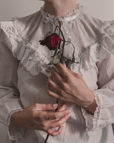 A woman in a white shirt holding a red rose photo – Free Iran Image on Unsplash Vintage Background Aesthetic, Iran Vintage, Nail Art Fall, Free Iran, Rose Reference, Lace Background, Fall Background, Rosé Aesthetic, Vintage Background