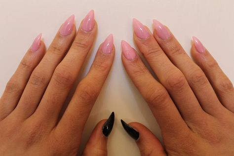 My pink and black cat claws(stiletto nails). Done by Ryan from Angels Care hair and nails. Cat Shape Nails, Kitten Nails Shape, Short Stilleto Nails Halloween, Kitty Claw Nails, Pink Short Stiletto Nails, Pink Claw Nails, Cat Nails Acrylic, Short Sharp Nails, Kitty Claws Nails