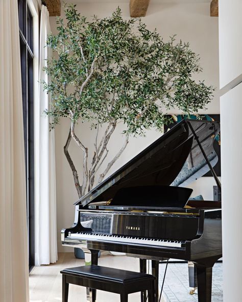 Vivir Design (@vivirdesign) • Instagram photos and videos Piano Area In Living Room Luxury, Upright Piano Decor, Piano Room Design, Grand Piano Living Room, Modern Music Room, Intimate Living Interiors, Grand Piano Room, Piano Room Decor, Instruments Piano