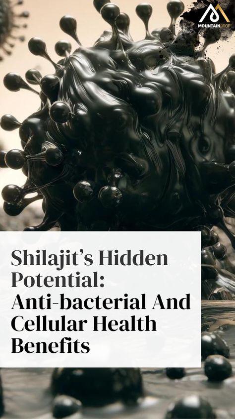 Shilajit possesses natural antibacterial abilities that are proving to be a game-changer in how we might tackle infections. It effectively fights against various bacteria, including strains that resist common antibiotics. Key to this ability is fulvic acid—a major component of Shilajit—which works by breaking down the protective barriers of bacteria cells, inhibiting their growth. ...more in the blog ✍️ Shilijat Benefits, Shilajit Benefits, Vegan Probiotics, Hidden Potential, Fulvic Acid, Game Changer, Health Benefits, Benefits, Key