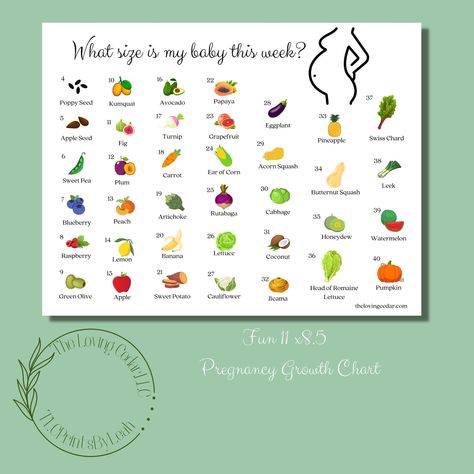 Excited to share the latest addition to my #etsy shop: How Big is Baby? Week-by-Week Pregnancy Growth Chart | 11 x 8.5 PDF Instant Download | Unlimited Printing https://etsy.me/3hPefJv #growthchart #pregnancychart #weekbyweek #baby #pregnancy #pregnancygrowth #babysize Pregnancy Growth Chart, Fetal Growth Chart, Baby Week By Week, Pregnancy Chart, Baby Growth Chart, Baby Weeks, Free Daily Planner, Mommy Belly, 1st Trimester