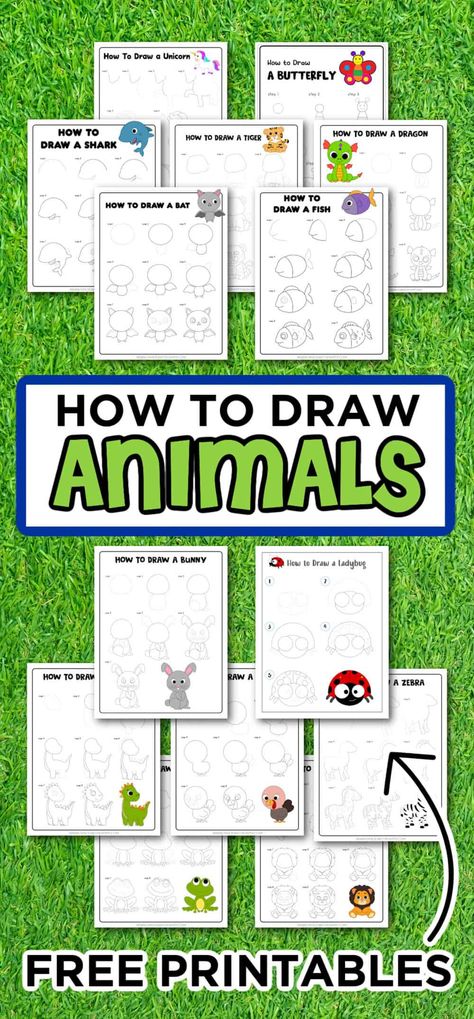 Shark Drawing Easy, Draw Animals For Kids, Teaching Art Elementary, Reindeer Drawing, How To Draw Animals, Spider Drawing, How To Draw Santa, Penguin Drawing, Tiger Drawing