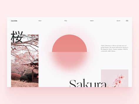 Sakura Website by Arthur K on Dribbble Aesthetic Websites, Website Design Inspiration Layout, 포트폴리오 레이아웃, Tokyo Design, Website Design Layout, Ui Design Inspiration, Website Layout, Learning Design, Website Design Inspiration