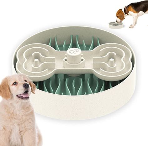 Slow Feeder Dog Bowls, Puzzle Food, Safe Green, Slow Feeder Dog, Different Types Of Dogs, Food Bowls, Dog Puzzles, Dog Food Bowls, Slow Feeder