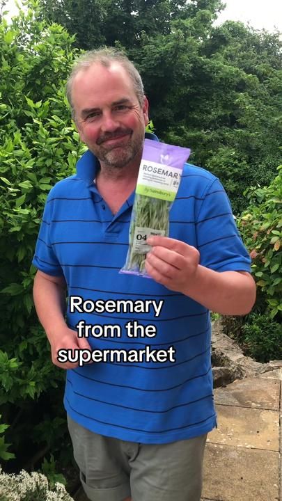 Rosemary Cuttings, Rosemary Plant Care, Growing Rosemary Indoors, Rosemary Benefits, Grow Rosemary, Growing Rosemary, Growing Healthy Hair, Rosemary Plant, Vertical Vegetable Garden