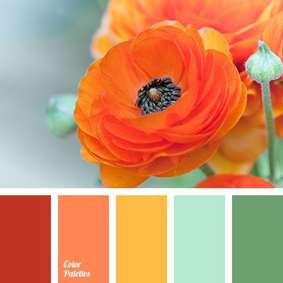 Bright, cheerful range of colors. Color riot, improves mood and gives positive emotions. A slightly muted orange, yellow, mint, color of young grass make u. Bedroom Colour Schemes Warm, Kitchen Color Red, Wedding Color Pallet, Colour Pallets, Orange Color Palettes, Bathroom Color Schemes, Spring Color Palette, Red Colour Palette, Color Schemes Colour Palettes