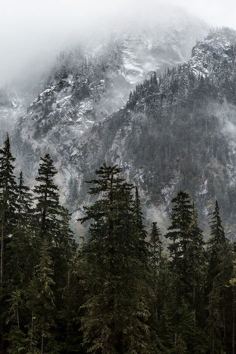 Amazing Scenery, Out In Nature, Mountains Travel, Scenery Photography, Mount Rainier National Park, Rainier National Park, The Mundane, Travel Light, Nature Aesthetic