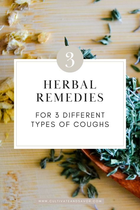 Looking for herbs to help support a cough naturally? Here’s how to determine the right herb for the type of cough you have. Tea For Cough, Productive Cough, Best Cough Remedy, Dry Cough Remedies, Chronic Cough, Dry Cough, Home Remedy For Cough, Cold Sores Remedies, My Top 3