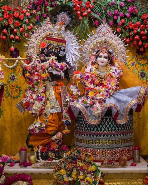 Radha Krishna Vrindavan, Shri Radha Krishna, Krishna Vrindavan, Krishna Balram, Radha Krishna Temple, Iskcon Vrindavan, राधा कृष्ण, Shree Radha, Iskcon Krishna