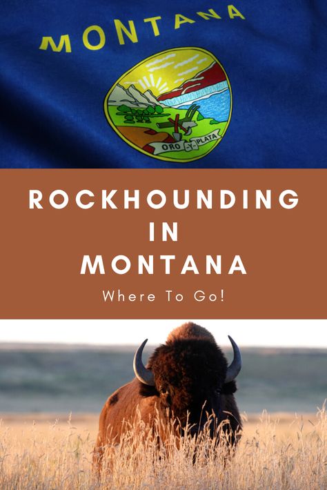 Visiting Montana, Visit Montana, Gem Hunt, Rock Collecting, Gold Panning, Montana Travel, Yellowstone Trip, Good Family, Rock Hunting