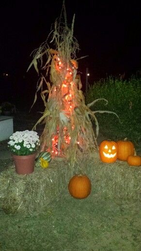 Cornstalk Archway, Chelsea Baby, Outside Halloween Decorations, Halloween Straws, Straw Bales, Straw Bale, Halloween Decorations Diy Outdoor, Diy Outdoor Decor, Halloween Lights