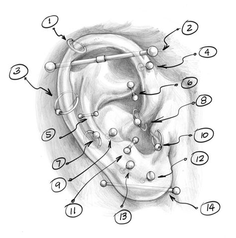 Everything to know about getting an ear piercing for men. From types of piercings to aftercare to how to avoid infection, we’ve rounded up some of the best tips and practices from one of Denmark’s top piercers. Men With Pierced Ears, Men’s Ear Piercing Ideas, Men’s Piercing Ideas, Men’s Earing, Men Piercing Ears, Mens Ear Piercing Ideas, Men Piercing Ideas, Earrings Men Style, Mens Ear Piercing