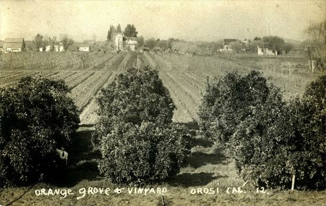 Tulare County, History, Photographer