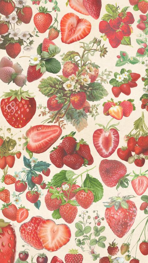 #strawberries #strawberryfields #thebeatles #cottagecore Photowall Ideas, Whats Wallpaper, Tapeta Z Hello Kitty, Phone Wallpaper Patterns, Cute Patterns Wallpaper, Iphone Background Wallpaper, Summer Wallpaper, Cute Backgrounds, Cute Wallpaper Backgrounds