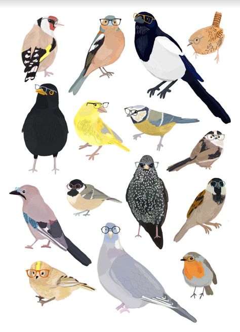 Robin Bird Illustration, Logo Commission, Different Types Of Birds, Watercolour Birds, Animals Name In English, Types Of Birds, Bird Images, Winter Birds, Common Birds