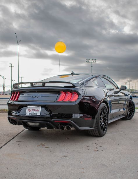 Mustang 5.0 Gt, Black Mustang Gt, Mustang Gtr, New Tesla Roadster, Ford 2020, Ford Mustang Gt 2015, Mustang Gt Premium, Sports Cars Mustang, Mustang Interior