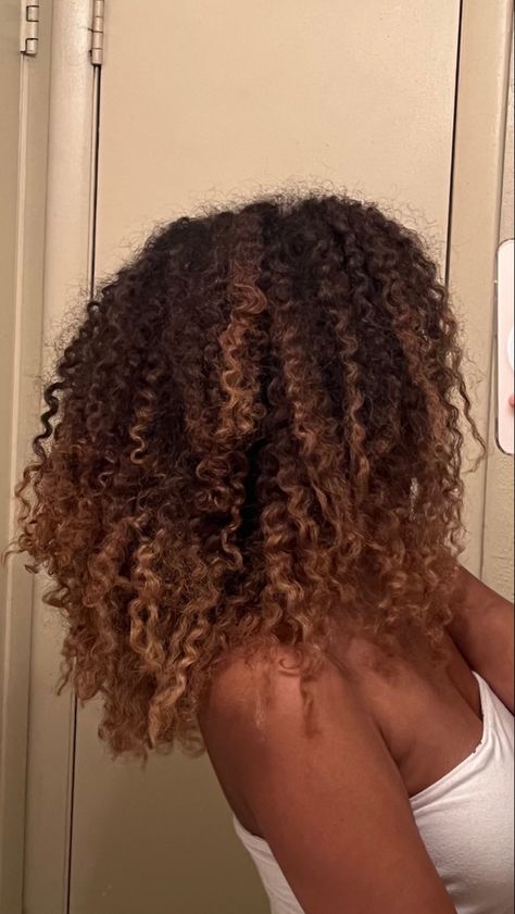 #hair #curly #highlights Brown Highlights On Black Hair Curly 4c, Dyed Brown Curly Hair, Light Honey Brown Hair Curly, Highlights Black Women Natural Hair, 4c Highlights, Highlights On 4c Hair, Highlights On Black Curly Hair, Curly Highlights Caramel, Highlight Natural Hair