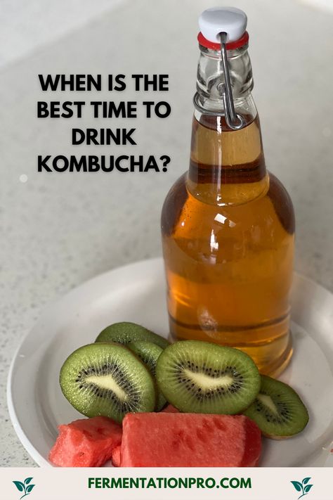 What Is Kombucha, Kumbacha Benefits, Benefits Of Kombucha Every Day, Health Benefits Of Kombucha, Kombucha Benefits For Women, How To Make Kombucha, Kombucha Health Benefits, Benefits Of Kombucha, Alcohol Benefits